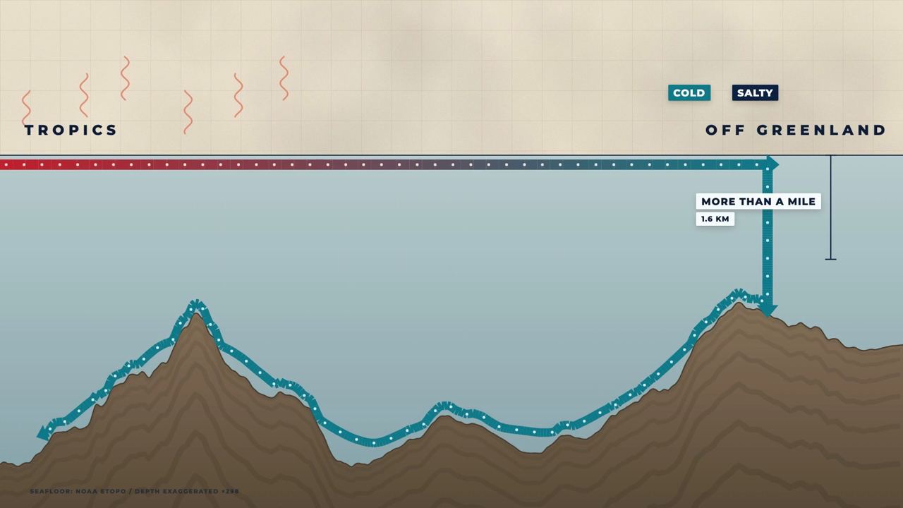 A cross-section of the ocean floor with a surface current sinking near Greenland